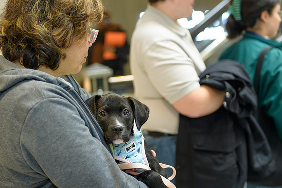 Pet Adoption Day2024_0181