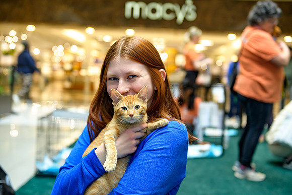 Pet Adoption Day2024_0183