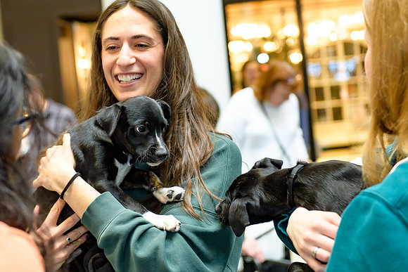 Pet Adoption Day2024_0188