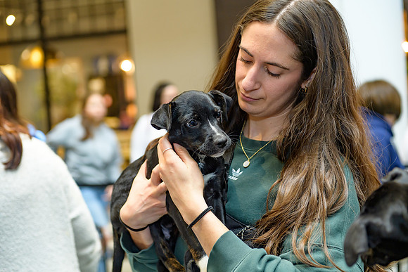 Pet Adoption Day2024_0190