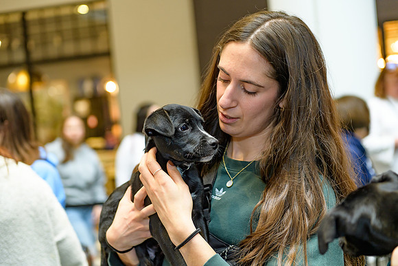 Pet Adoption Day2024_0191