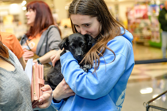 Pet Adoption Day2024_0193