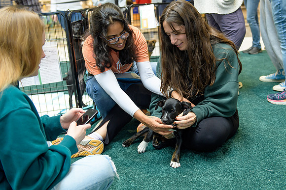 Pet Adoption Day2024_0195