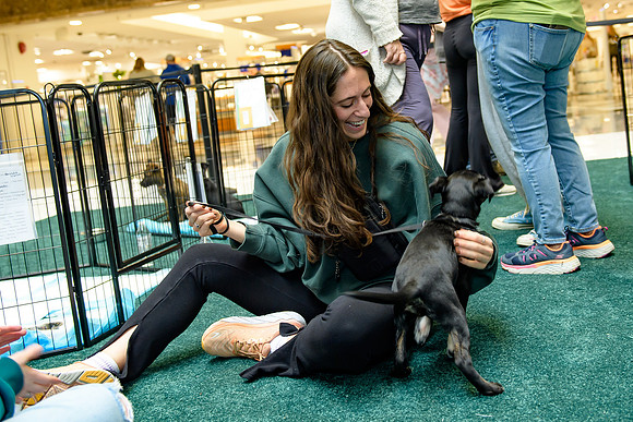 Pet Adoption Day2024_0198