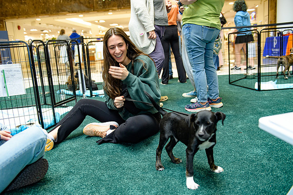 Pet Adoption Day2024_0197