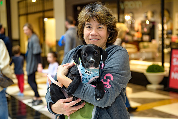 Pet Adoption Day2024_0201