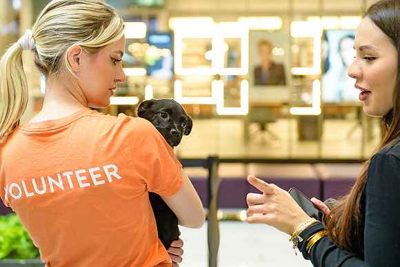 Pet Adoption Day2024_0203