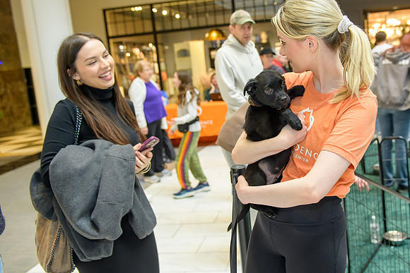 Pet Adoption Day2024_0204