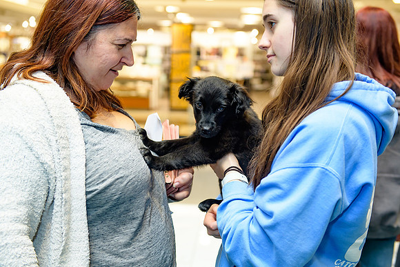 Pet Adoption Day2024_0205