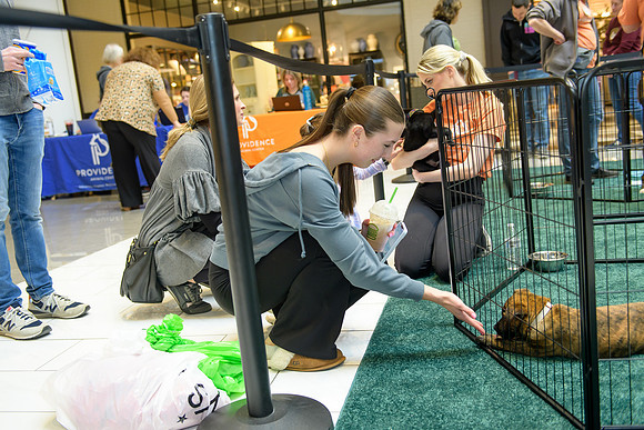 Pet Adoption Day2024_0206