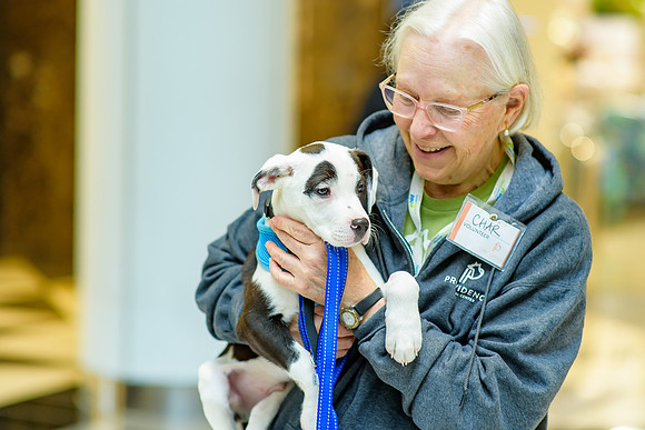 Pet Adoption Day2024_0209