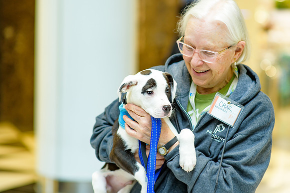 Pet Adoption Day2024_0210