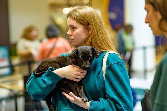 Pet Adoption Day2024_0212