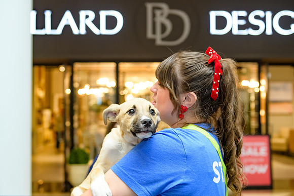 Pet Adoption Day2024_0221