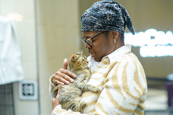 Pet Adoption Day2024_0222
