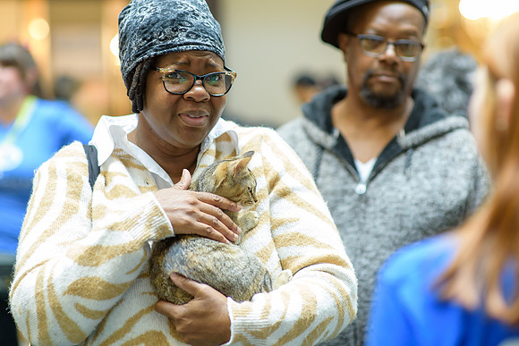 Pet Adoption Day2024_0226