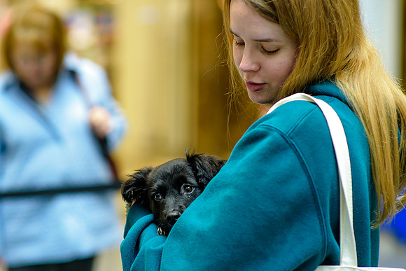 Pet Adoption Day2024_0227
