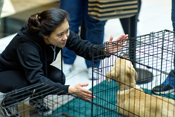 Pet Adoption Day2024_0232