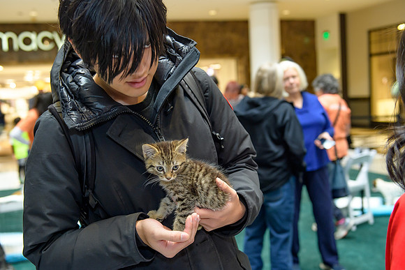 Pet Adoption Day2024_0231