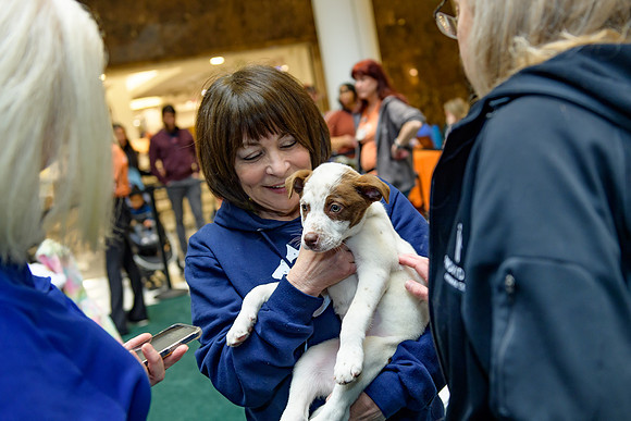 Pet Adoption Day2024_0238