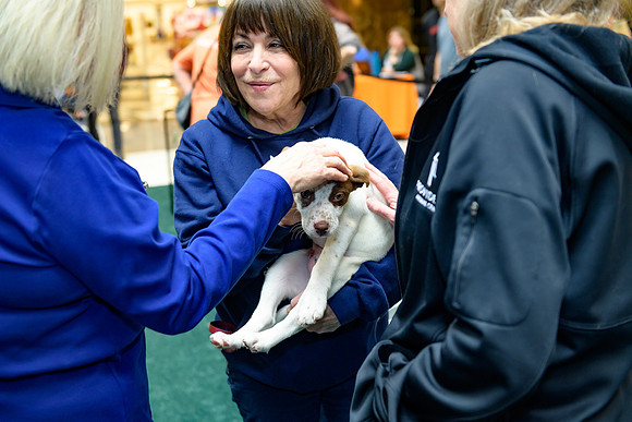 Pet Adoption Day2024_0237