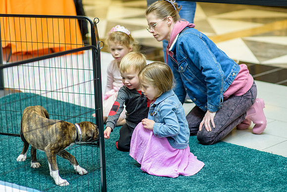 Pet Adoption Day2024_0246