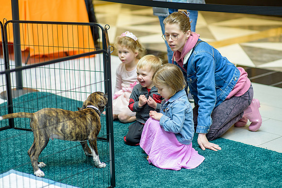 Pet Adoption Day2024_0247