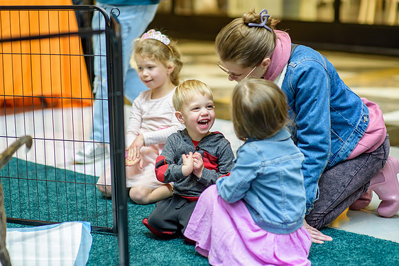 Pet Adoption Day2024_0249