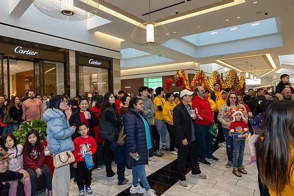 Lunar New Year Dragon2024_0206
