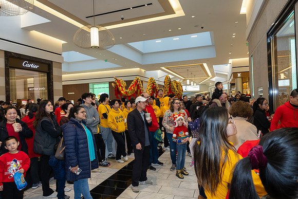 Lunar New Year Dragon2024_0207