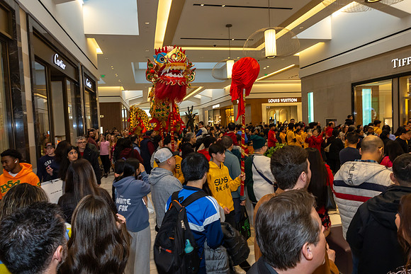 Lunar New Year Dragon2024_0209