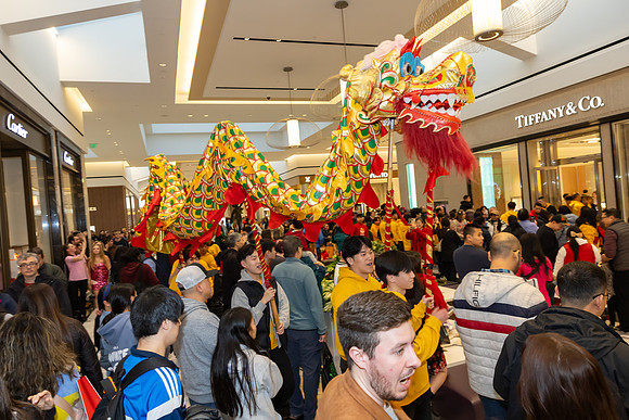 Lunar New Year Dragon2024_0210