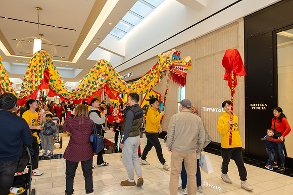 Lunar New Year Dragon2024_0211