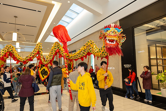Lunar New Year Dragon2024_0212
