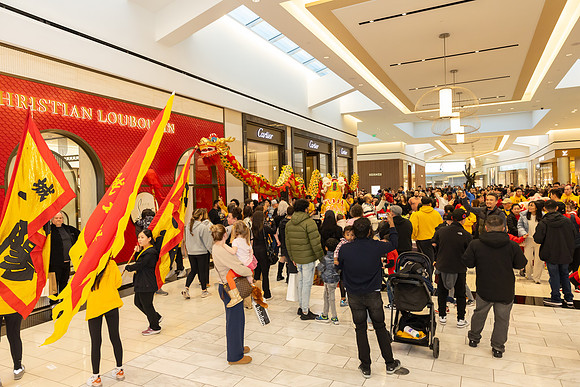 Lunar New Year Dragon2024_0218