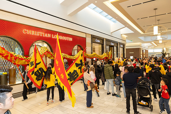 Lunar New Year Dragon2024_0219
