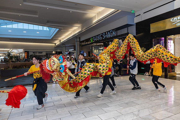Lunar New Year Dragon2024_0239