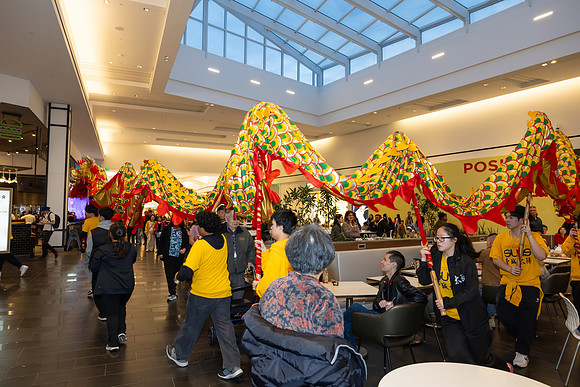 Lunar New Year Dragon2024_0305