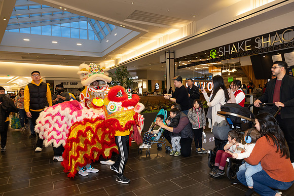 Lunar New Year Dragon2024_0309