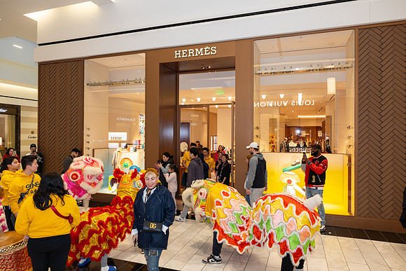 Lunar New Year Dragon2024_0311