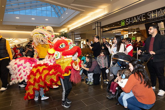 Lunar New Year Dragon2024_0310
