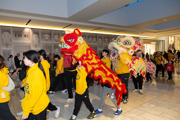 Lunar New Year Dragon2024_0315