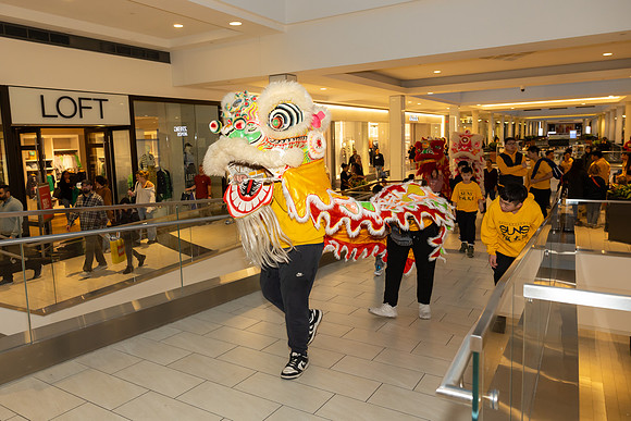 Lunar New Year Dragon2024_0319