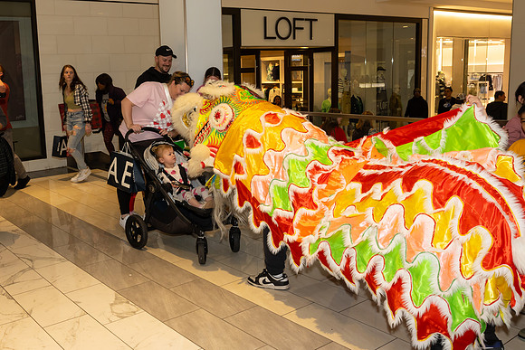 Lunar New Year Dragon2024_0321