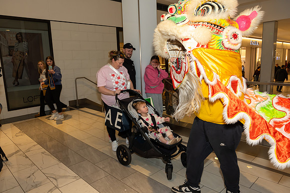 Lunar New Year Dragon2024_0322
