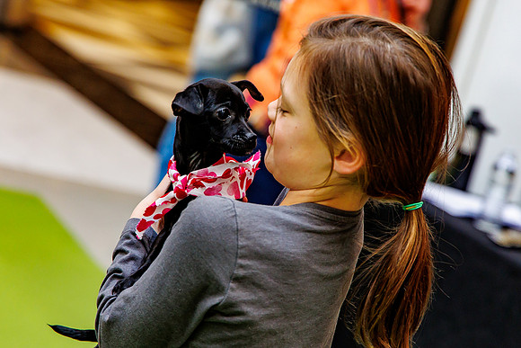 Adopt-Pet-KOP-Simon_0144