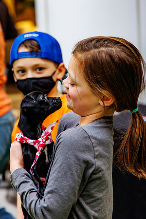 Adopt-Pet-KOP-Simon_0147