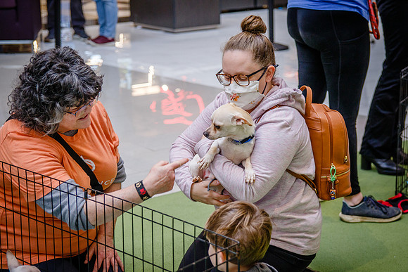 Adopt-Pet-KOP-Simon_0192