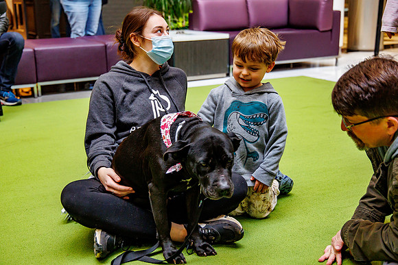Adopt-Pet-KOP-Simon_0197
