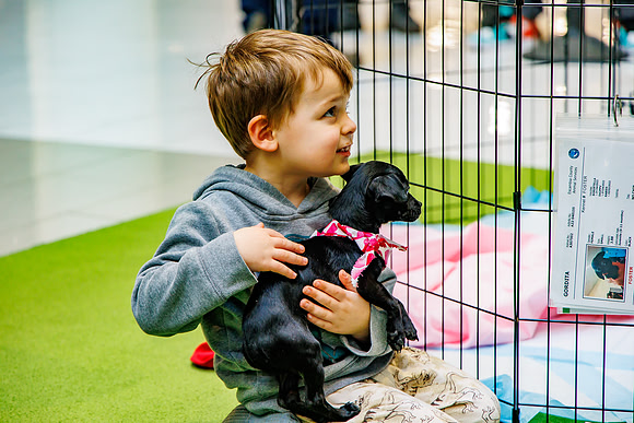 Adopt-Pet-KOP-Simon_0175